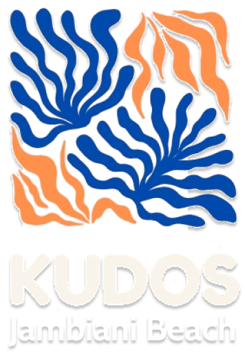 Kudos - logo light